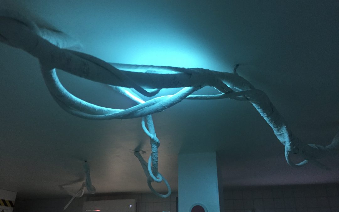 Escape game « Liane géante » – Tours